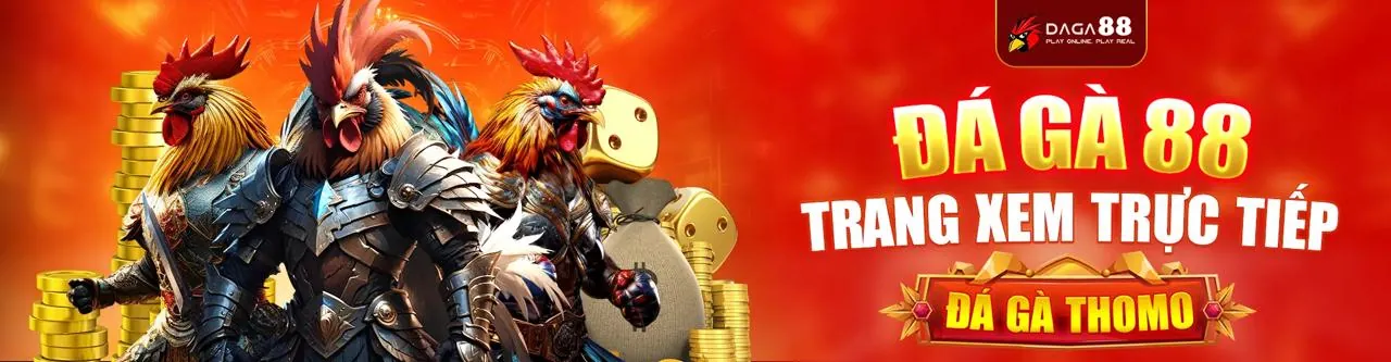 Chương trình VIP và ưu đãi độc quyền